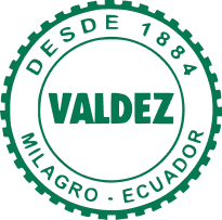 Logo de valdez